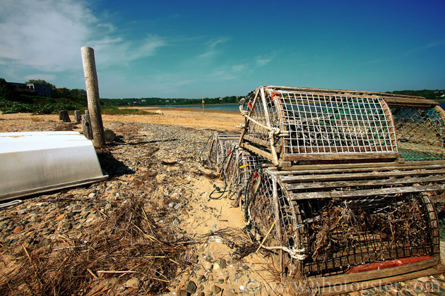 cape cod Lobster Trap Nauset Heights
